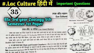 Lac Culture in hindi  BSc 3rd year Zoology 5th Semester first paper [upl. by Ronny]