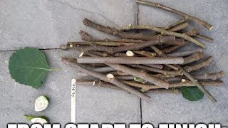 Figs How to root fig cuttings from beginning to end [upl. by Rickard]