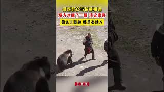 藏區群眾與棕熊相遇，雙方對視了一眼淡定離開。 “確認過眼神，都是本地人。” [upl. by Orth]