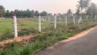 Cheap amp Best Land 2Acre Sale  farm land realestate murugeshrealestate [upl. by Ahsyas]