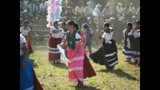 FIESTA DE quotLOS TOROSquot EN TAREJERO MICHOACAN [upl. by Renruojos]