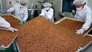 Mealworm farm  Chinese farmers make millions of dollars from raising mealworms  processing factory [upl. by Nnywg881]