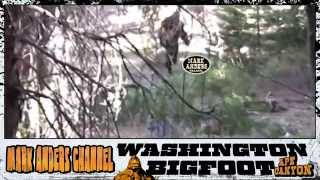 Washington Bigfoot Ape Canyon HD ★★★★ [upl. by Kermie207]