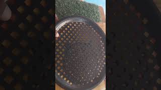 12 inch metal grill with clamp  mahizh lights [upl. by Marchese439]