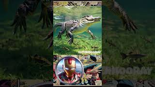 Evolution of Alligator as Superheroes 💥 All Characters Marvel amp DC ✅️ avengers marvel shorts [upl. by Adeirf]