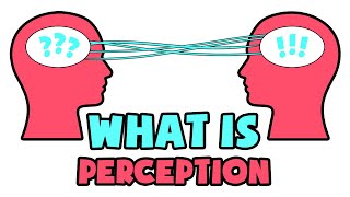 What is Perception  Explained in 2 min [upl. by Leunamme636]