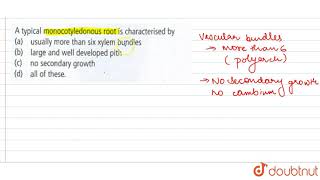 A typical monocotyledonous root is characterised by [upl. by Repooc522]