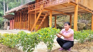 Techniques for planting flowers around the house and traditional ways of sowing corn  Lý Nhệ [upl. by Freida756]