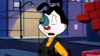 Animaniacs  S01E103 [upl. by Andres28]