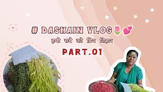 Dashain vlog😻💕🌷 tihar vlog  saviisinjali vlogs [upl. by Nedrob]