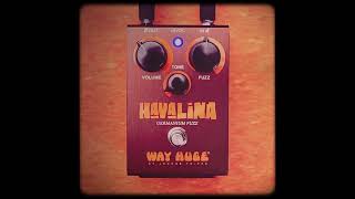 Quick Hit Way Huge® Havalina Germanium Fuzz Take 1 [upl. by Ratcliff69]