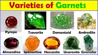 Varieties of garnets gemstones Pyrope Almandine Spessartine Demantoid Tsavorite [upl. by Temple]