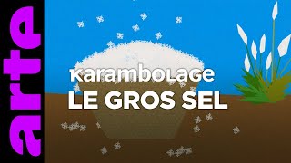 Le gros sel  Karambolage  ARTE [upl. by Sidalg]