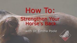 Strengthening Your Horses Neck Back and Pelvis Develop the Topline with Three Easy Exercises [upl. by Barboza]