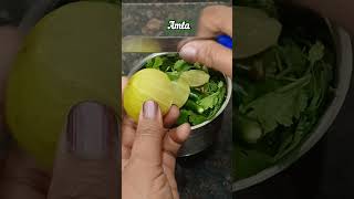 Amla ki chutney  Spicy amla dhaniya chutney  Indian Gooseberry recipe shorts chutney [upl. by Suelo]