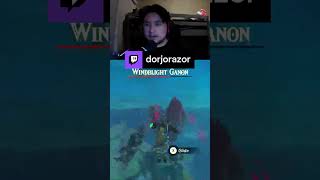 Link DIFFS Revali  dorjorazor on Twitch [upl. by Llorre]