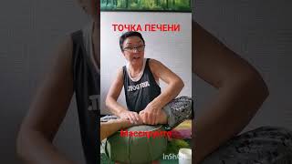 Точка печени Массаж овчинниковаlive акупунктура печень массажПечени массажНог [upl. by Bianka]