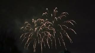 Wallsend Fireworks 2024 [upl. by Wilbert246]