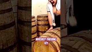 whiskey thieves thieving 101 whiskeybarrel whiskeythief bourbon stealing from bourbonbarrel [upl. by Stepha792]