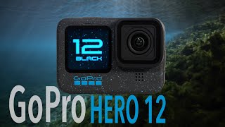 GOPRO HERO 12 Underwater Test  WATCH BEFORE PURCHASING [upl. by Novikoff]