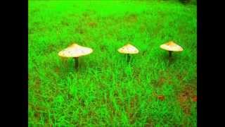 Ancient Pagan Mushroom Dance  Santa Fe  Psychedelic Trance  Steven Sunn  Piccolo Bass  Enjoy [upl. by Adnih]