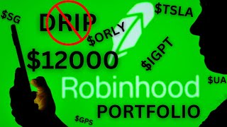 12000 Robinhood Portfolio Update  Why I Turned Off DRIP [upl. by Dearden]