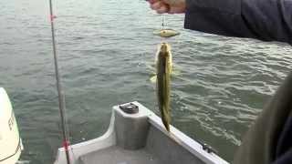 Great Getaways Fishing The Manistique Lakes Curtis MI [upl. by Aniham]