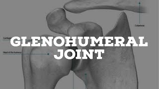 Glenohumeral joint [upl. by Fesuoy233]