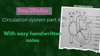 Circulation system l Part 4 l with easy handwritten notes l biology neet [upl. by Sisco256]