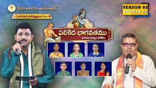 Parthu Nemani  Palikeda BhagavathamuUSA  Pothana II Episode12 II iBAM [upl. by Laehpar]