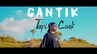 CANTIK TAPI CUEK  Dj Qhelfin Official Video Musik 2024 [upl. by Atteuqram]