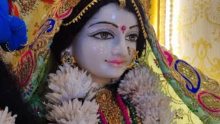 Putrada Ekadashi  Shringar Darshan  2024 Radha Giridhari Lal Mandir [upl. by Stockton]