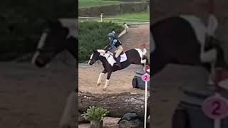 Showjumping vs CrossCountry horse equestrain horseriding equestrainlife [upl. by Ralf]