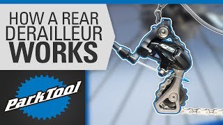 Shimano XT Derailleur Full Service Tutorial ⚒️ RDM8000 [upl. by Haneeja]