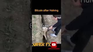 BITCOIN AFTER HALVING trading crypto viralvideo [upl. by Parthena]