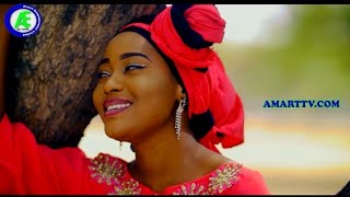 HALIMATUSSADIYA  MAGANAR ZUCIYA BY ABDUL D ONE  LATEST HAUSA VIDEO SONG [upl. by Benson380]