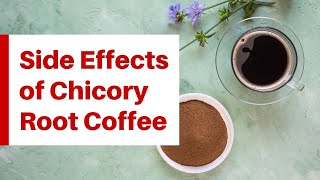 5 Worrying Side Effects You Must Know Before Drinking Chicory Coffee by Detox is Good [upl. by Nonnahsed]