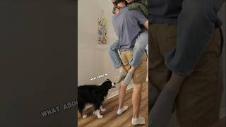 Australian Shepherd Reacts to Hugs 🫂 [upl. by Catie]