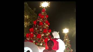 BGC Christmas Lights Decoration 2024  Christmas Rush in BGC  Mhy Yumi [upl. by Joel312]