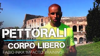 ALLENAMENTO PETTORALI  ESERCIZI CORPO LIBERO PETTO [upl. by Shurlock]