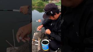 Mancing ikan nila [upl. by Frannie278]