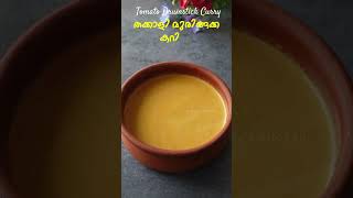 തക്കാളി മുരിങ്ങക്ക ഒഴിച്ച് കറി  Thakkali Muringakka Curry Recipe  Tomato Curry  Ozhichu Curry [upl. by High]