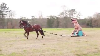 Man in dinosaur costume does tricks on horseback [upl. by Aiekan]