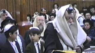 The Lubavitcher Rebbe Shacharit at 770  Rare Film  First time on web [upl. by Anirok74]