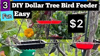 DIY How to Make Bird Feeder for 2 EASY 3 Hanging Styles Birds LOVE Dollar Tree Store Garden Decor [upl. by Kirsteni]