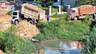 Amazing full video process bulldozer and dump trucks filling up land with soil [upl. by Alaj]