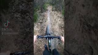 Boppard mtb downhill bikelife automobile mountainbike crash mtblife jump ebike enduro [upl. by Martinez649]