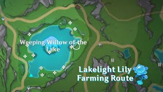 Lakelight Lily Farming Route  Genshin Impact [upl. by Gus]