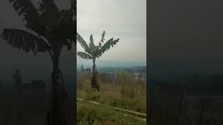 Camp CoffeeTaman Kita Argowisata Gunung gede bogor 360 view Lembah dan Gunung [upl. by Ferneau960]