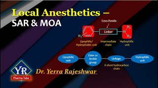 Local Anesthetics  SAR amp MOA  SAR of Local Anesthetics  YR Pharma Tube  Dr Rajeshwar Yerra [upl. by Mitchell]